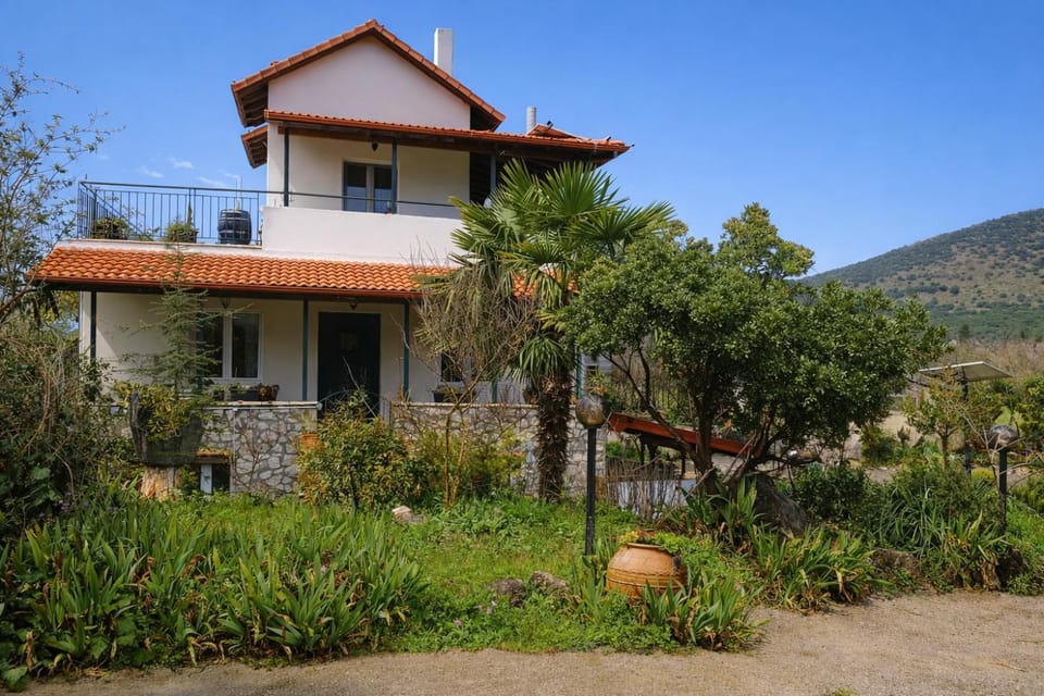 Property building, Spring, Day, Natural landscape, Garden, Garden view