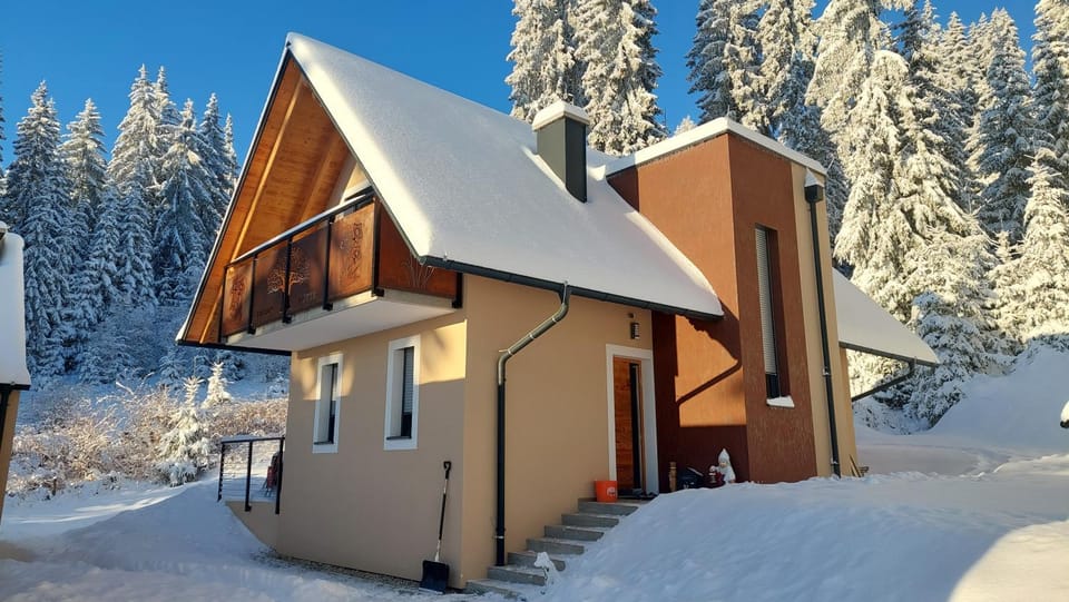Siedls Enzian Chalet in Styria