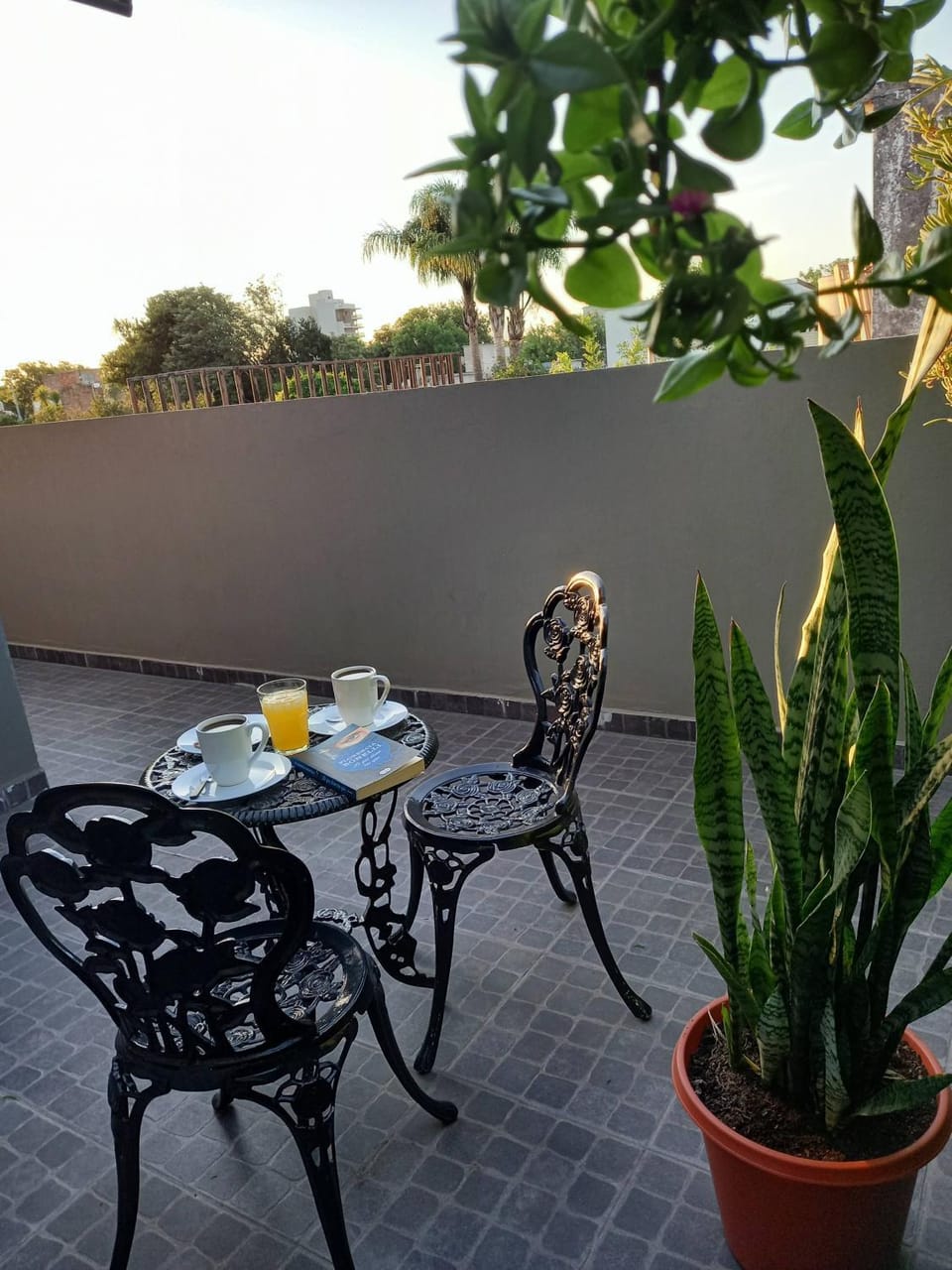 Balcony/Terrace