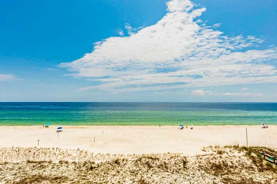 Windemere 1101 House in Perdido Key