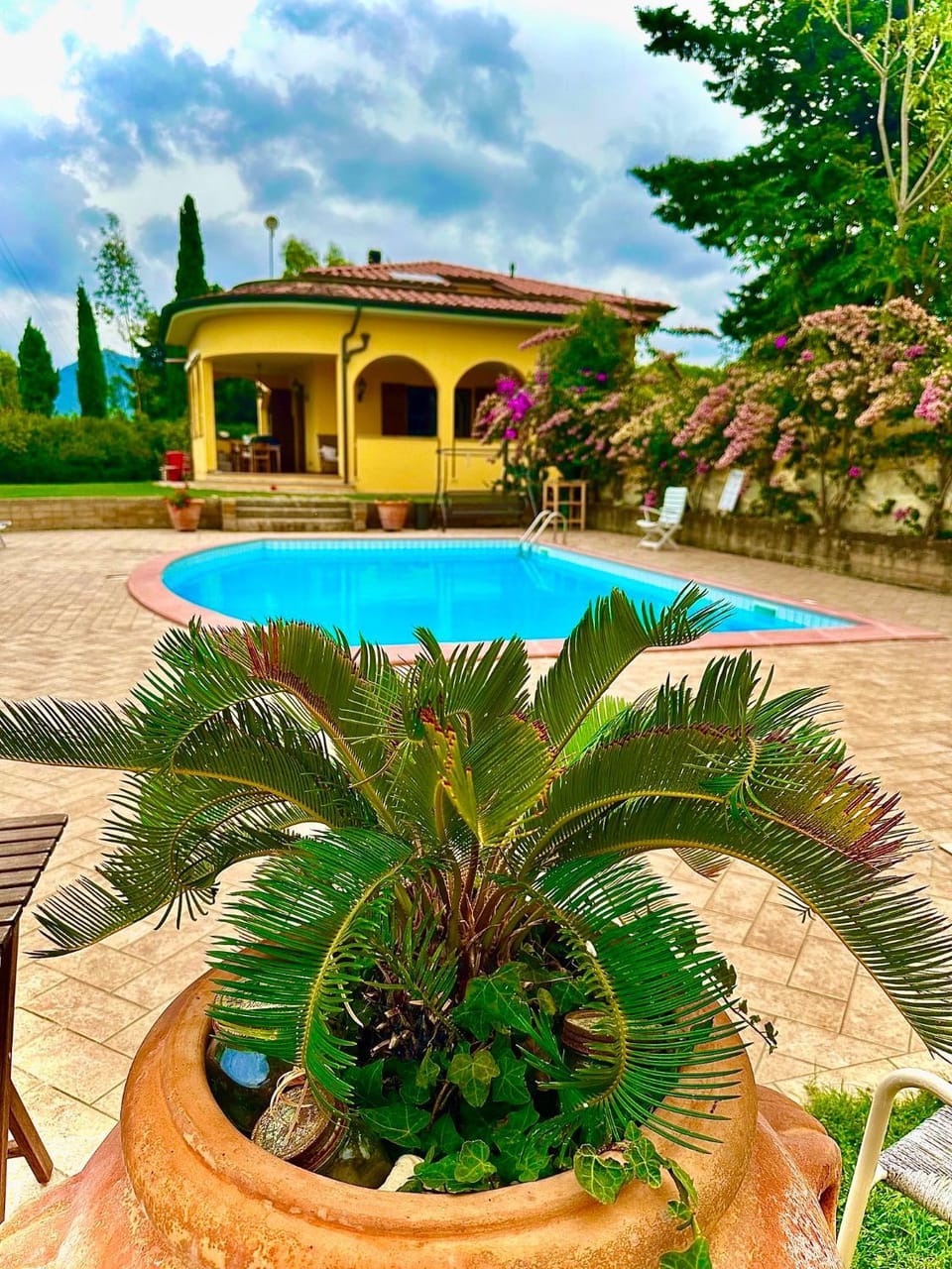 Day, Garden view, Pool view, Swimming pool