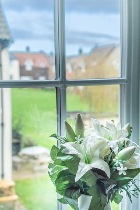 Spring, Day, Garden, Garden view