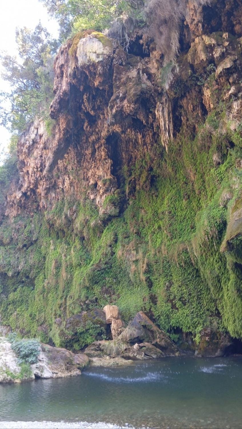Hiking