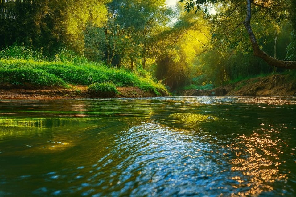 Natural landscape