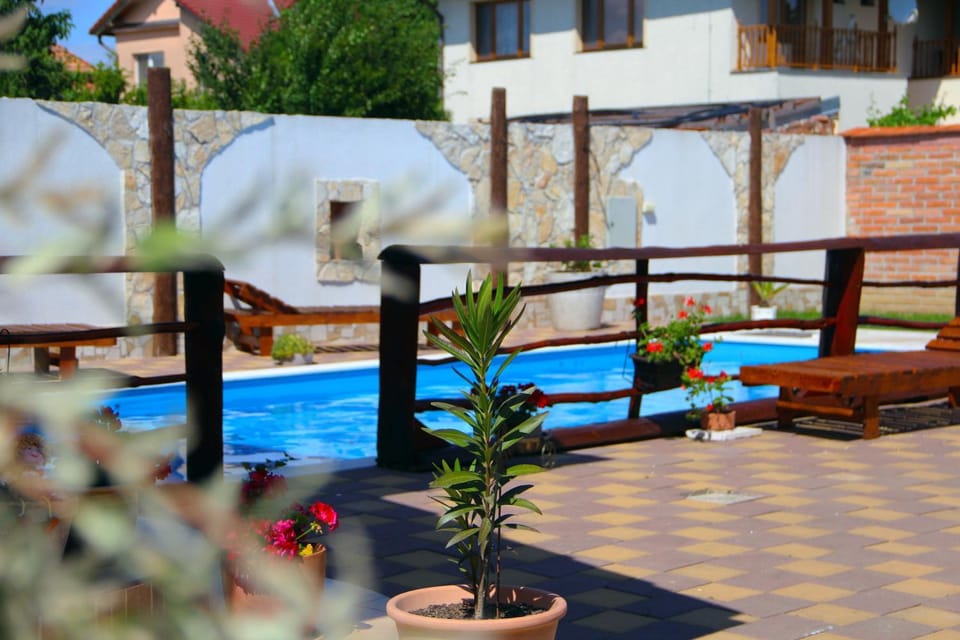 Day, Natural landscape, Garden, Garden view, Pool view, Swimming pool