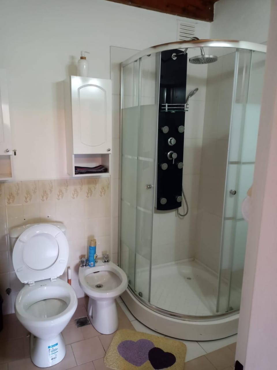 Cálido Departamento Céntrico San Martín de los andes Apartment in San Martín de los Andes