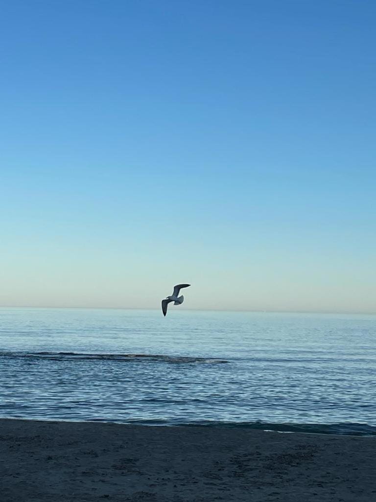 Sea view
