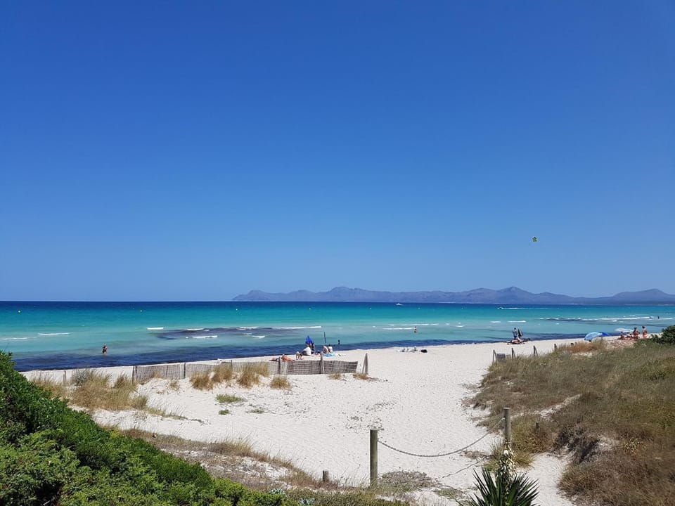 Natural landscape, Beach, Location