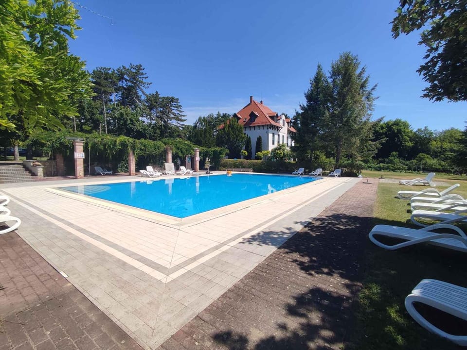 Summer, Garden, Swimming pool