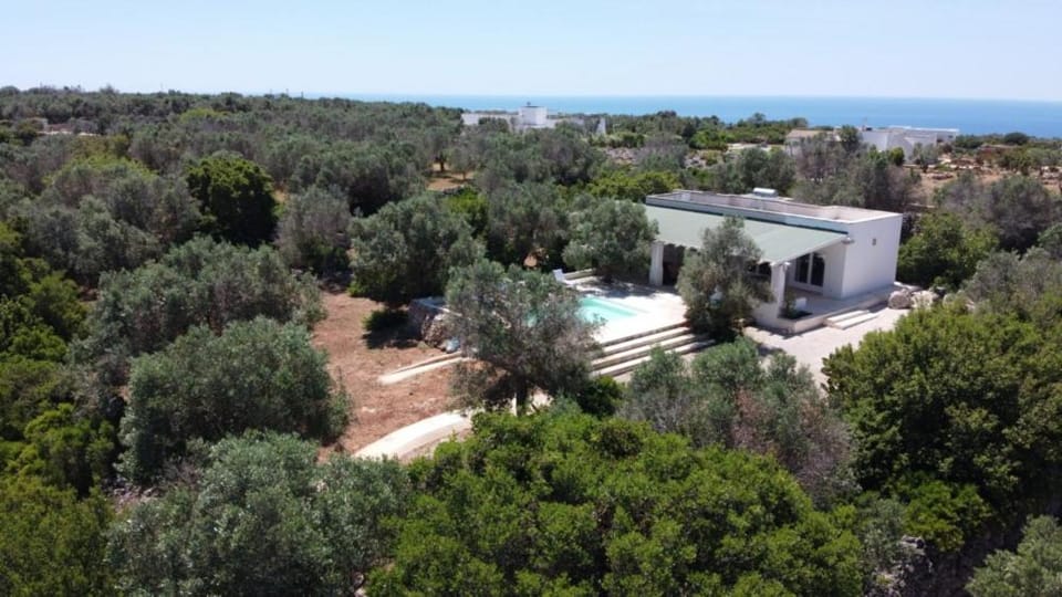 Natural landscape, Garden, Pool view
