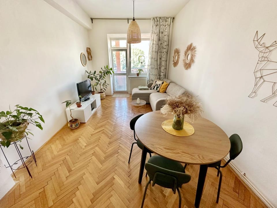Bright and central suite with a balcony Apartment in Brno