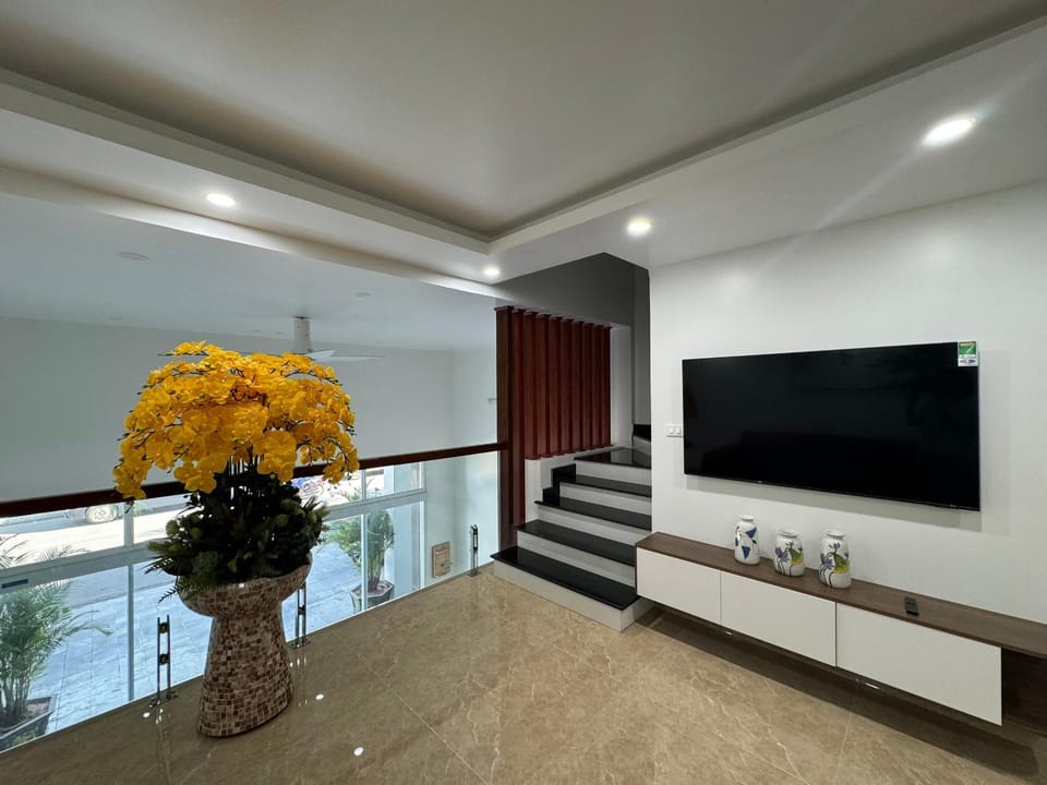 TV and multimedia