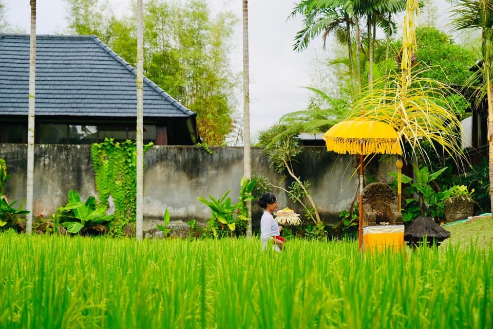 Natural landscape
