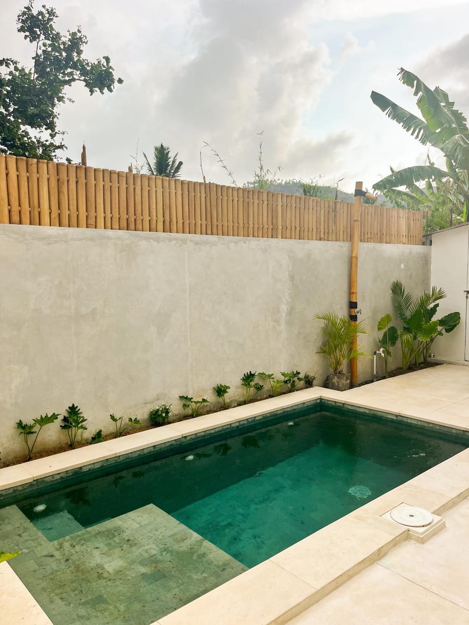 Day, Garden, Garden view, Pool view, Swimming pool