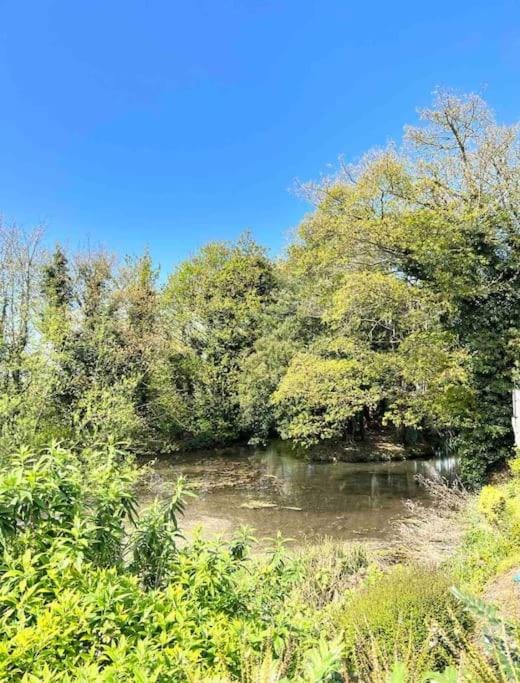 Spring, Day, Natural landscape, Lake view, River view
