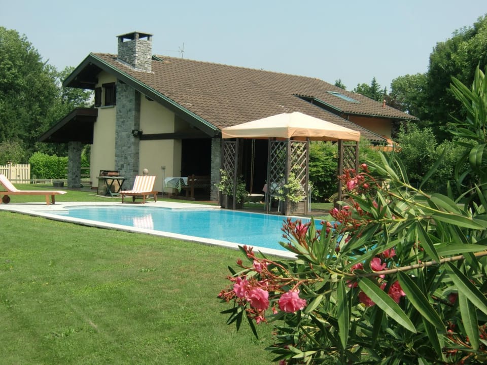 Patio, Garden, Swimming pool, sunbed