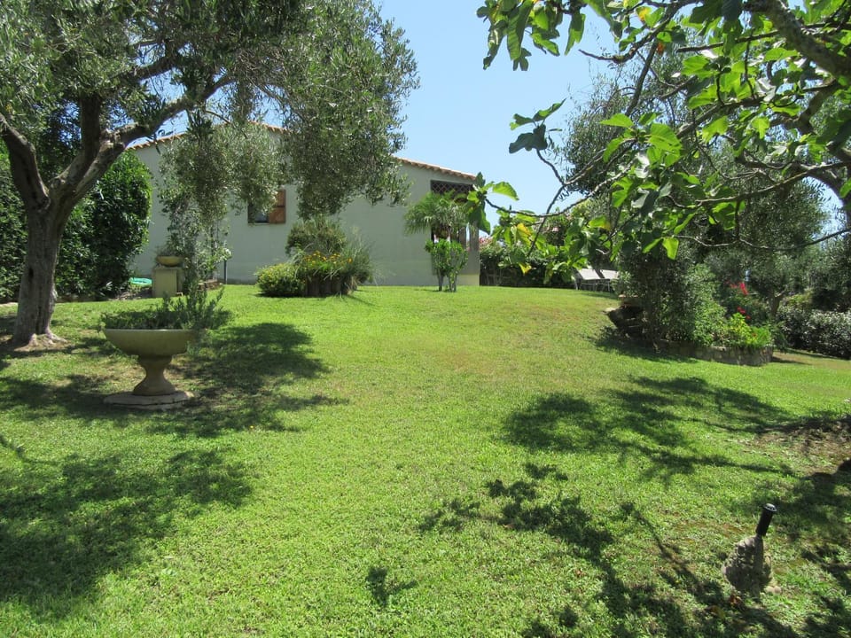 Property building, Garden, Garden view