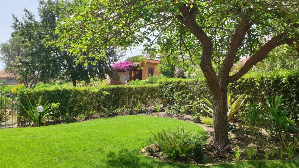 Garden, Garden view