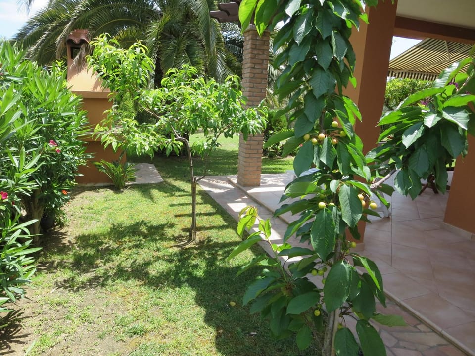 Garden view