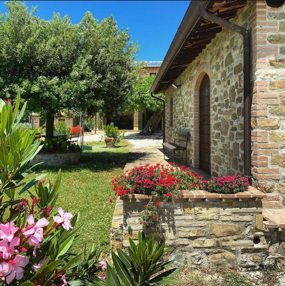 Facade/entrance, Garden