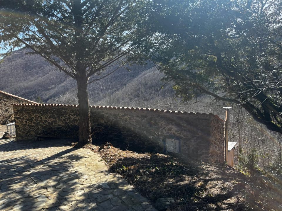 Mas Caraus Apartment in Ripollès