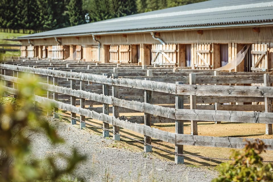 Garden, Horse-riding