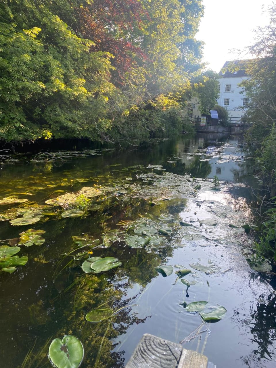 The Old Mill Cottage House in North Norfolk District