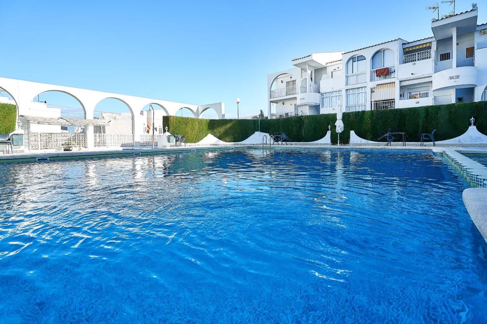 Day, Pool view, Swimming pool, sunbed