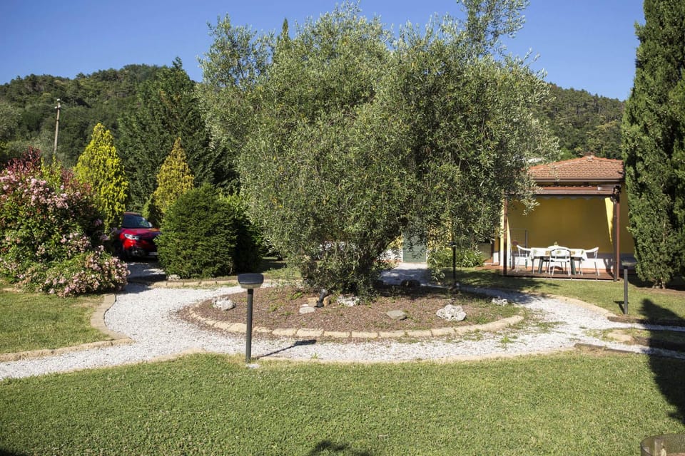 Garden, Garden view