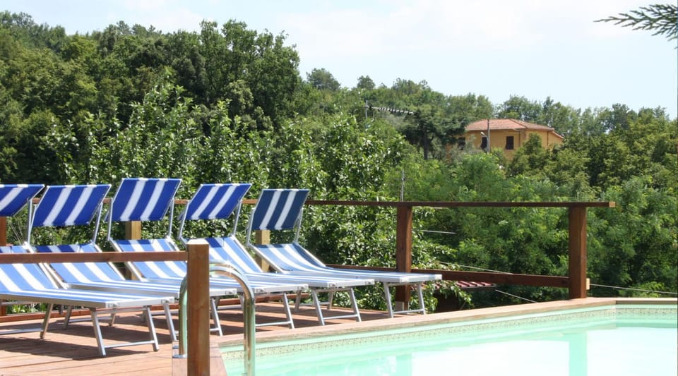 Swimming pool, sunbed
