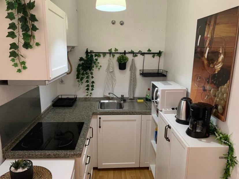 Estudio Capuchinos Apartment in Malaga