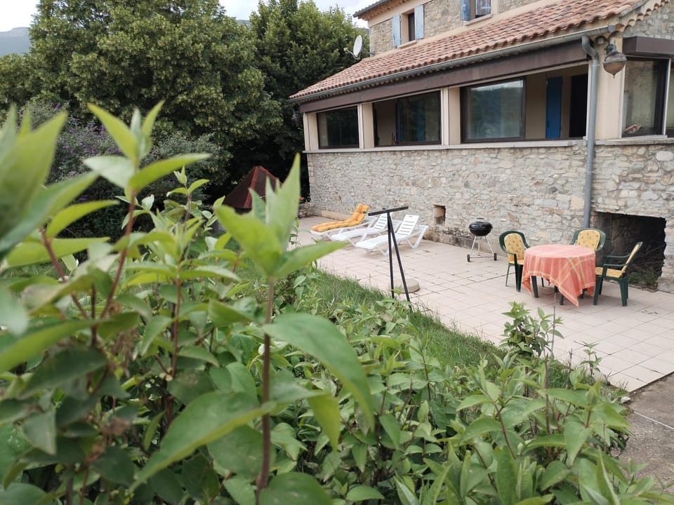Property building, Patio, Garden, Garden view, sunbed