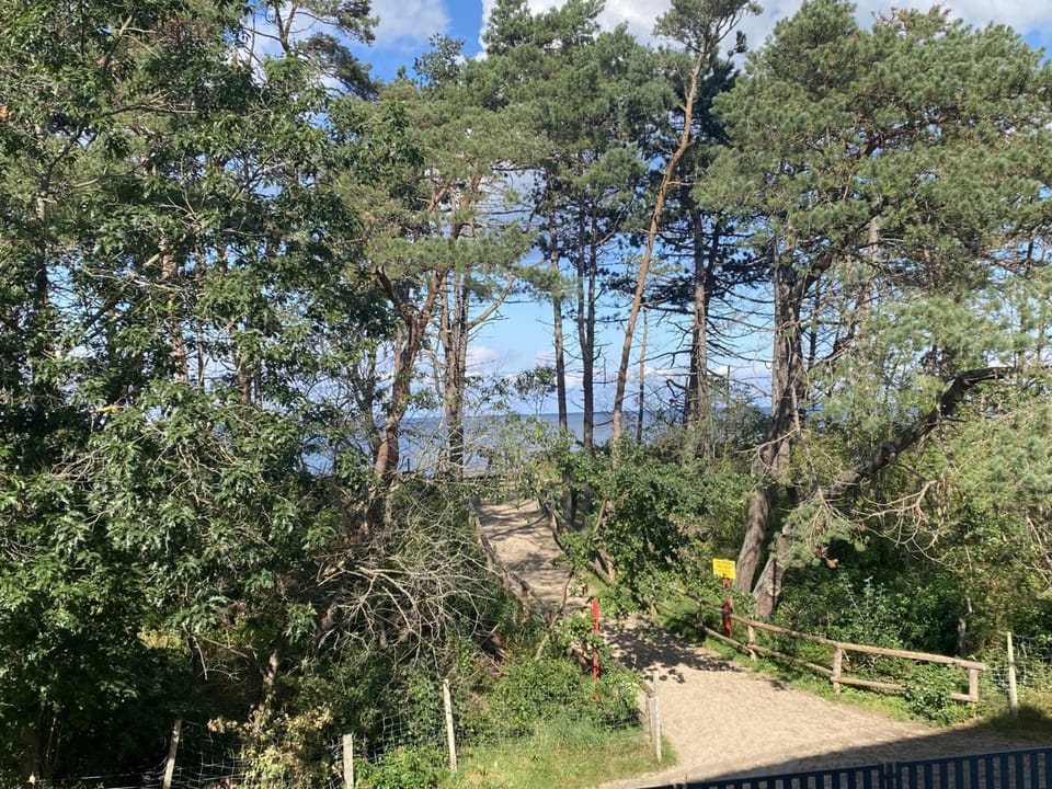 View (from property/room)