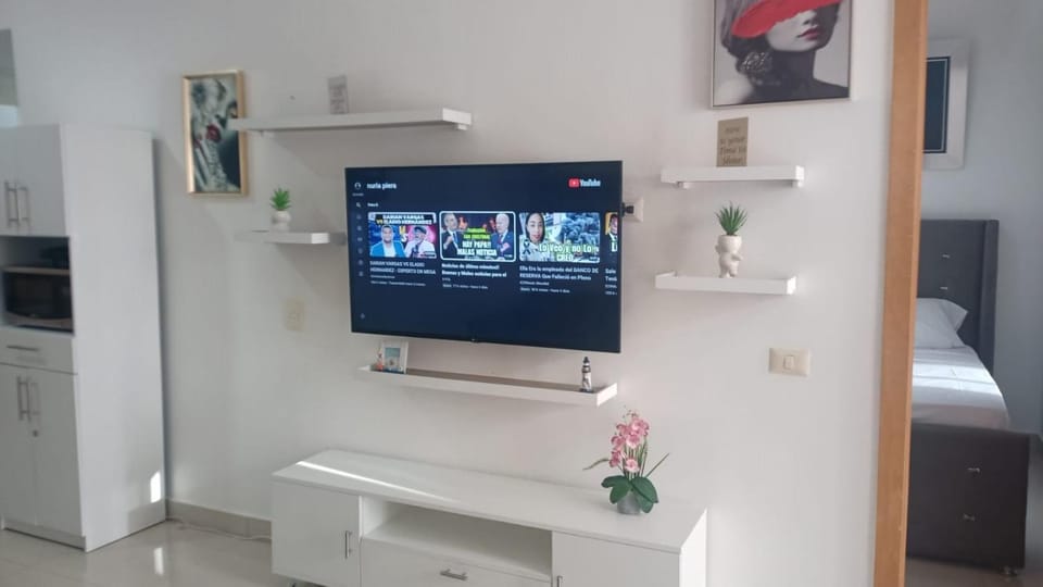 TV and multimedia