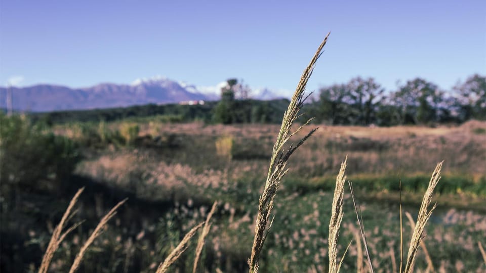 Spring, Day, Natural landscape, Mountain view