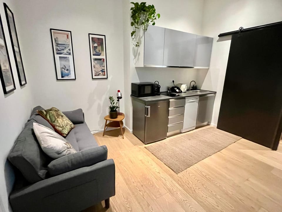 Living room, kitchen