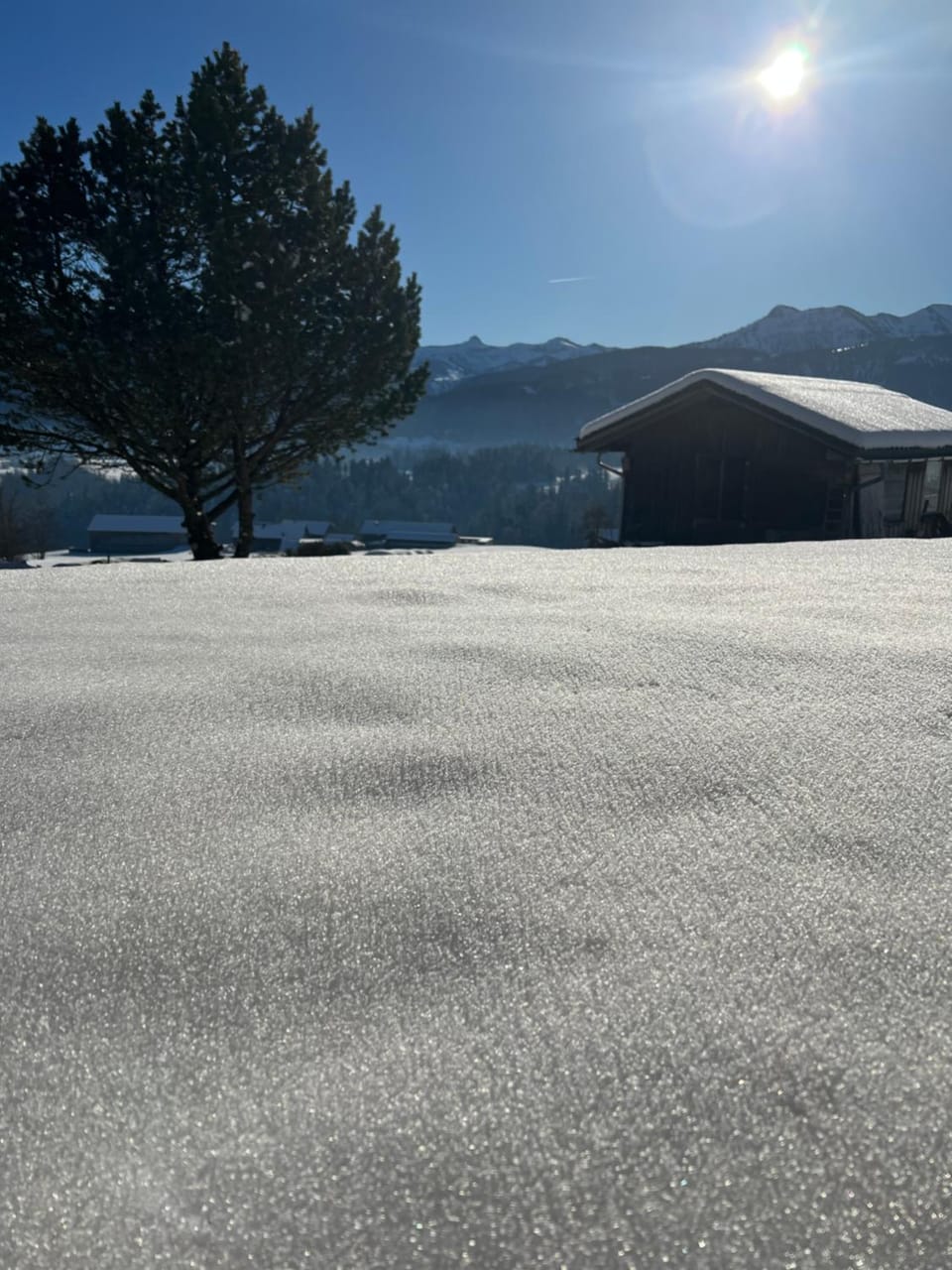Winter