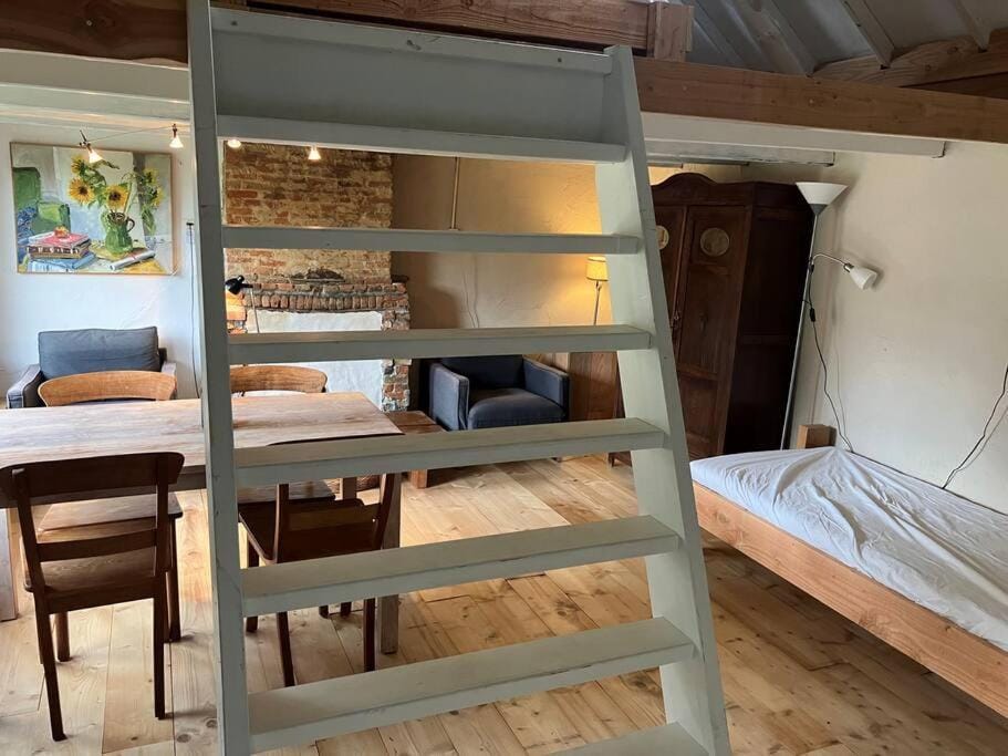 Photo of the whole room, Dining area, bunk bed