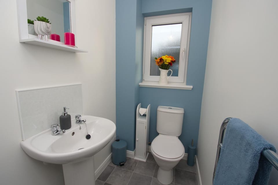 Toilet, Bathroom
