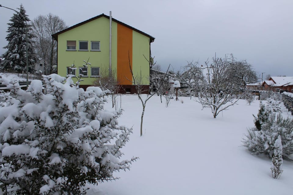 Property building, Winter