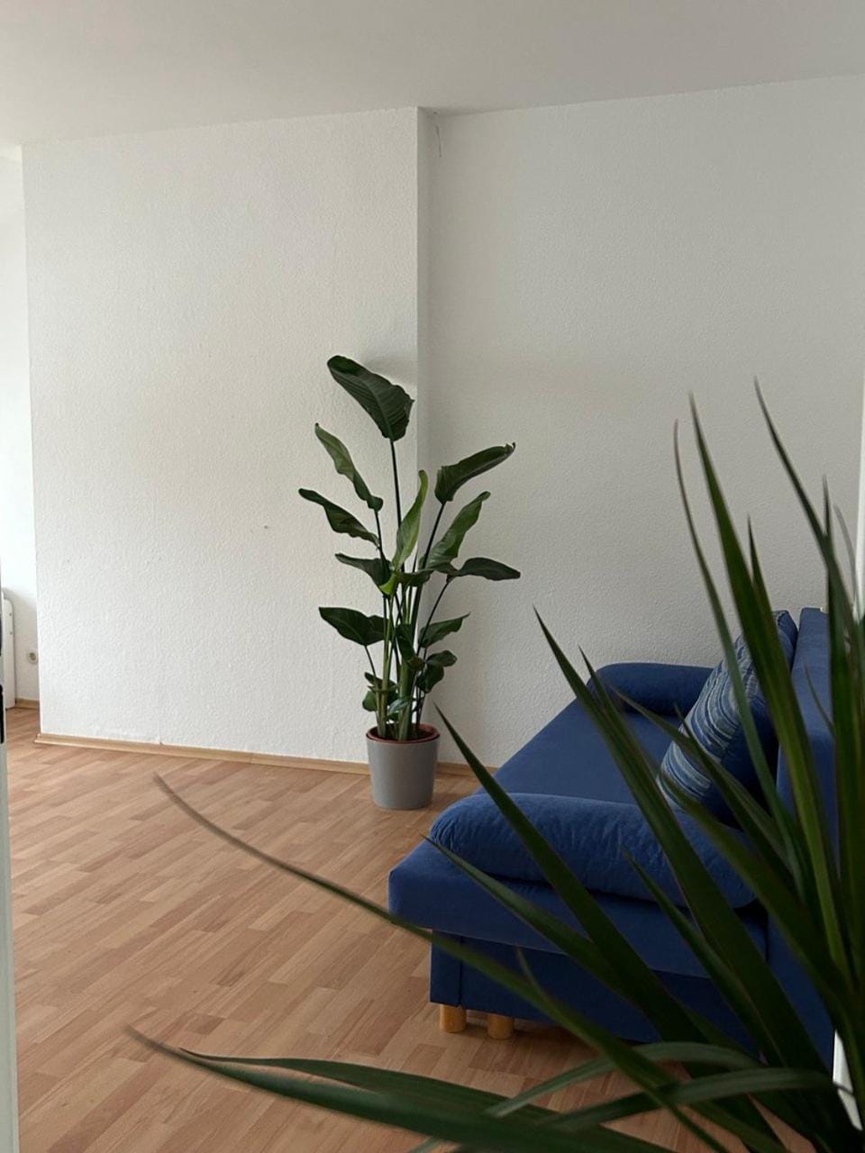 GardenApartment Apartment in Frankfurt
