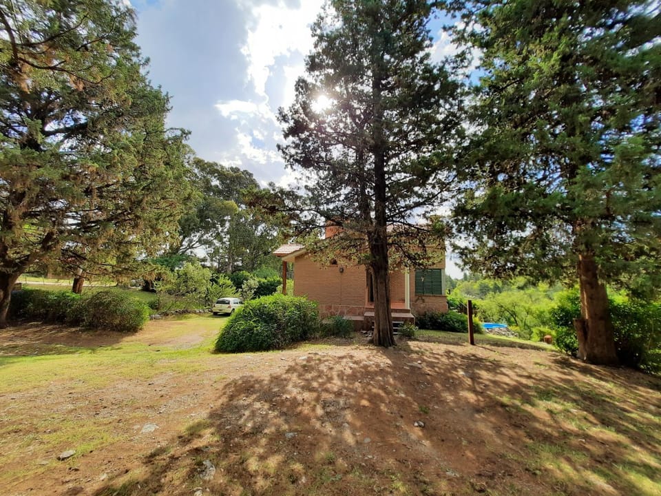 Day, Natural landscape, Garden