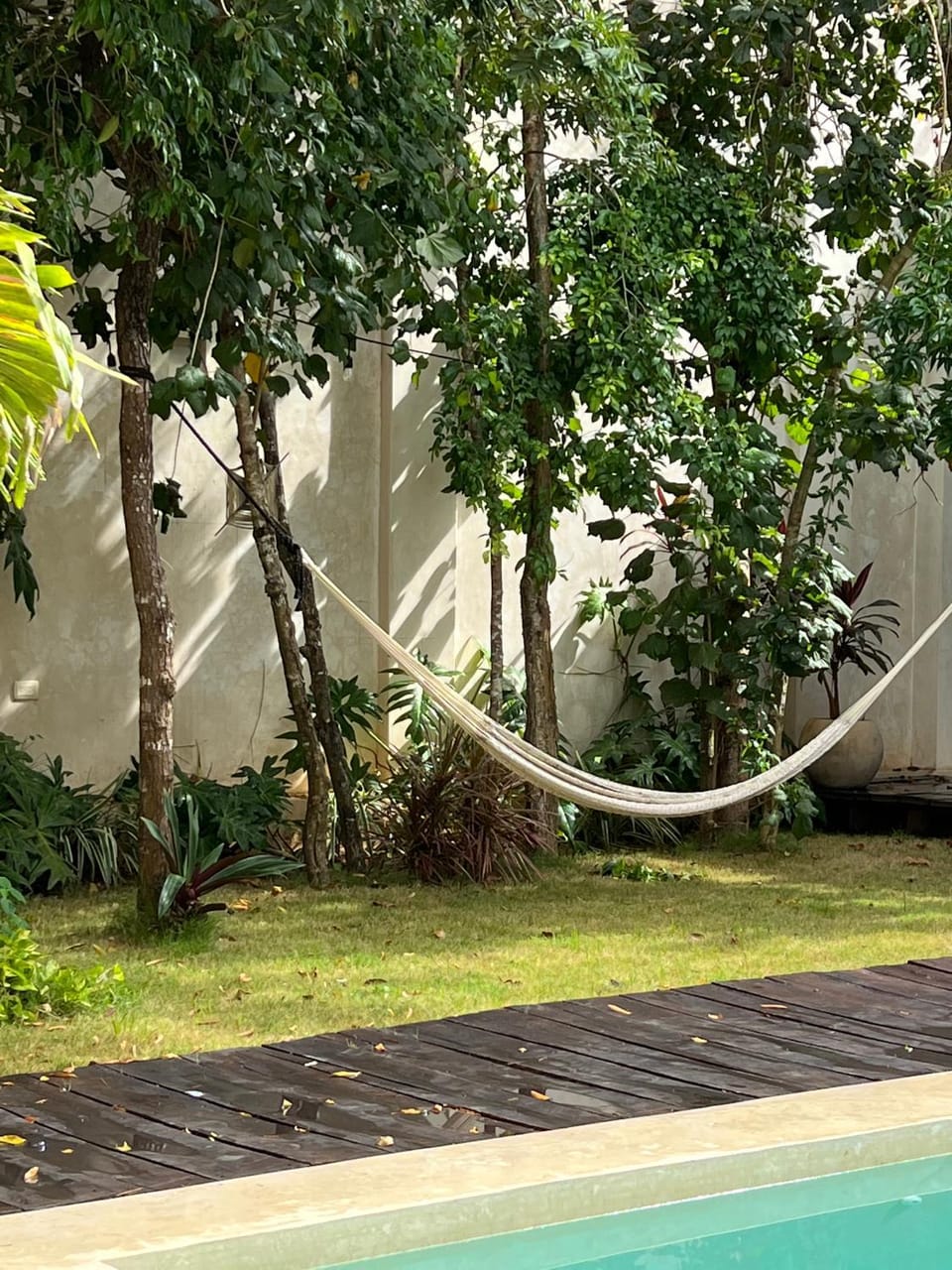 Garden view