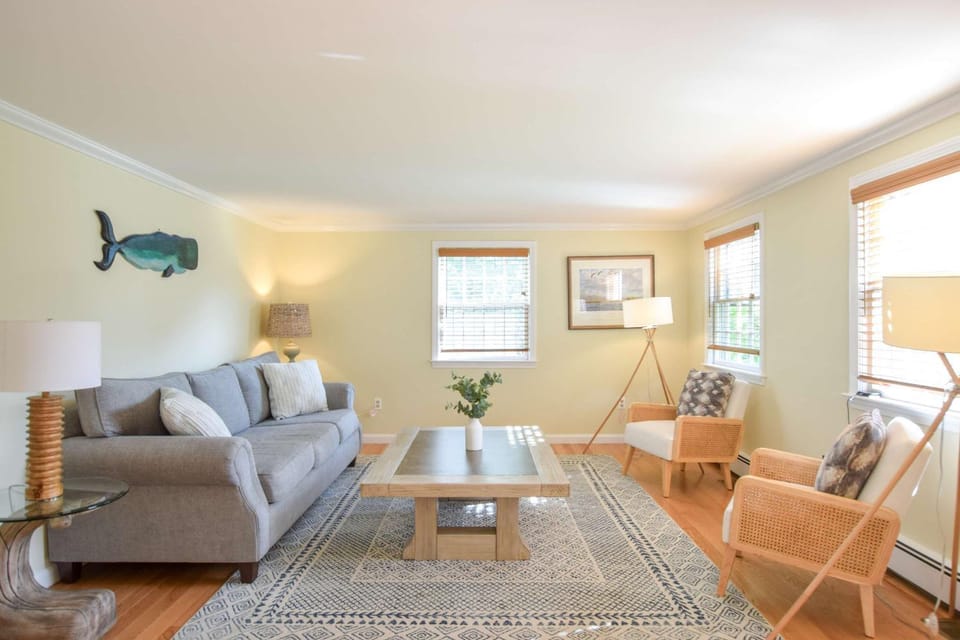 Dogs welcome huge yard right next to Rail Trail House in South Chatham
