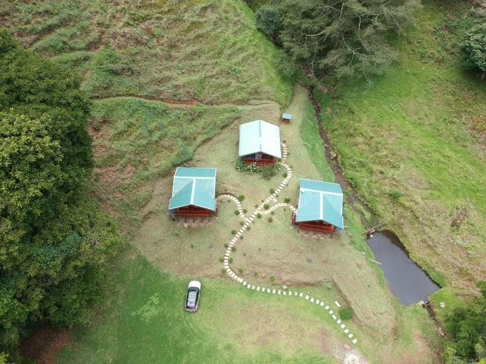 Entre Árboles Lodge Chalet in San José Province