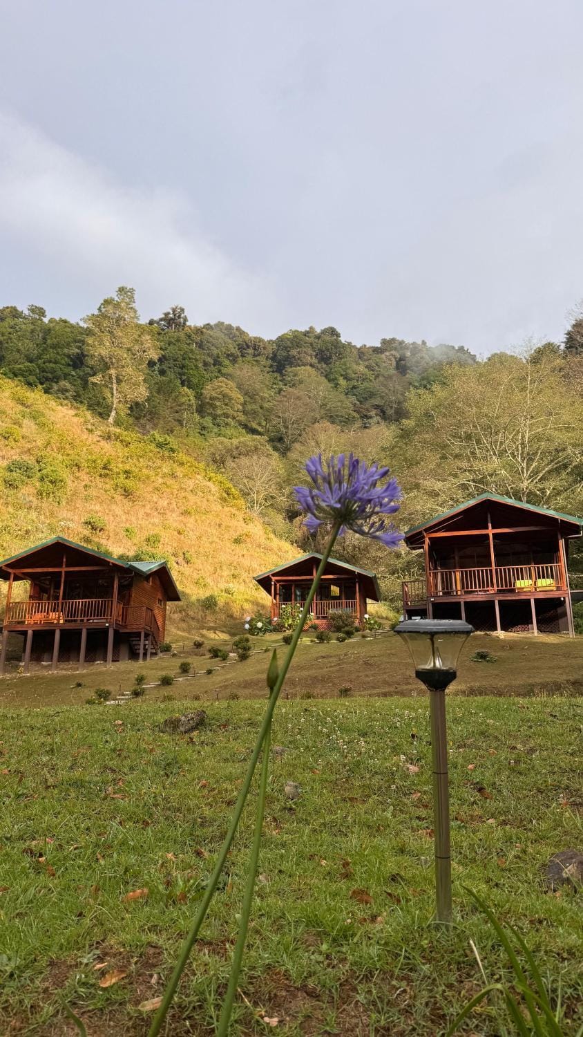Entre Árboles Lodge Chalet in San José Province