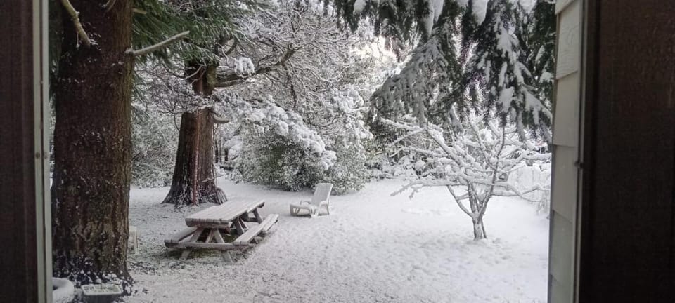 Ananda ALOJAMIENTOS PATAGONICOS Chalet in Los Lagos, Chile