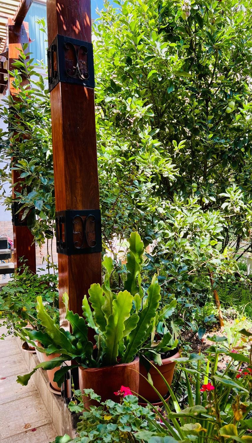 Apartamento entero en Sopocachi Apartment in La Paz
