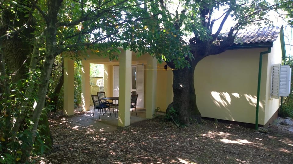 Garden, Balcony/Terrace