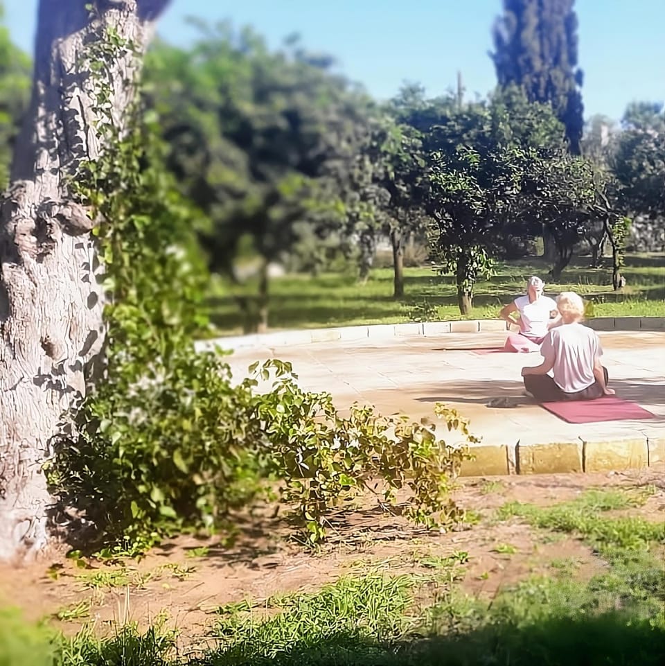 Natural landscape, Activities, Garden, Massage, Garden view, Garden view, Sports